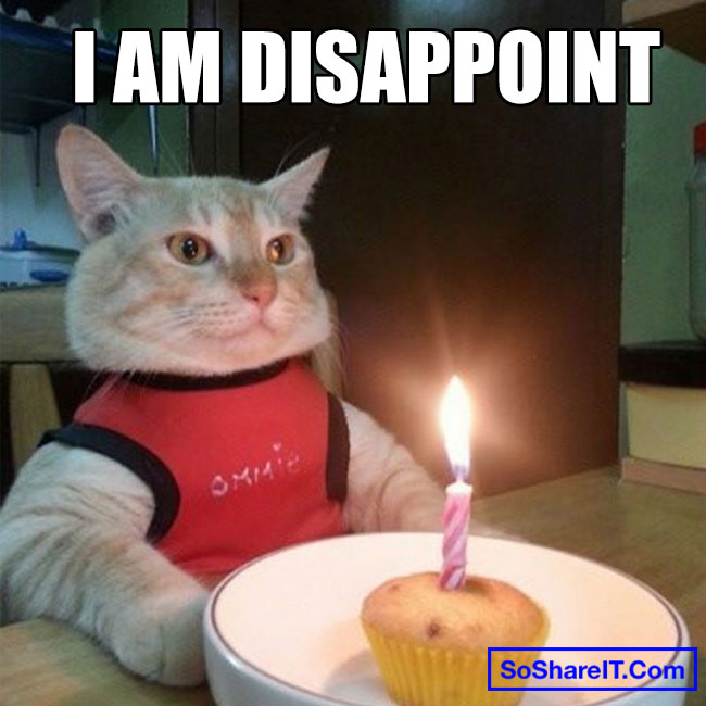 Happy Birthday Cat Meme 8