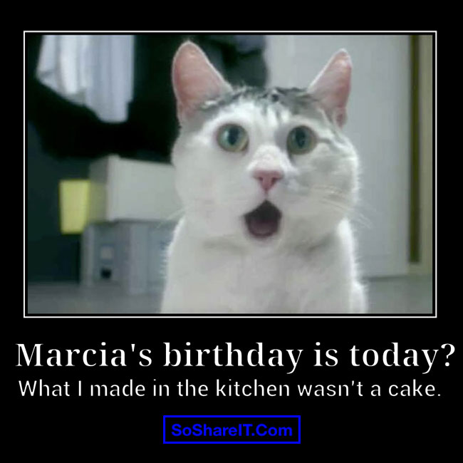 Happy Birthday Cat Meme 7