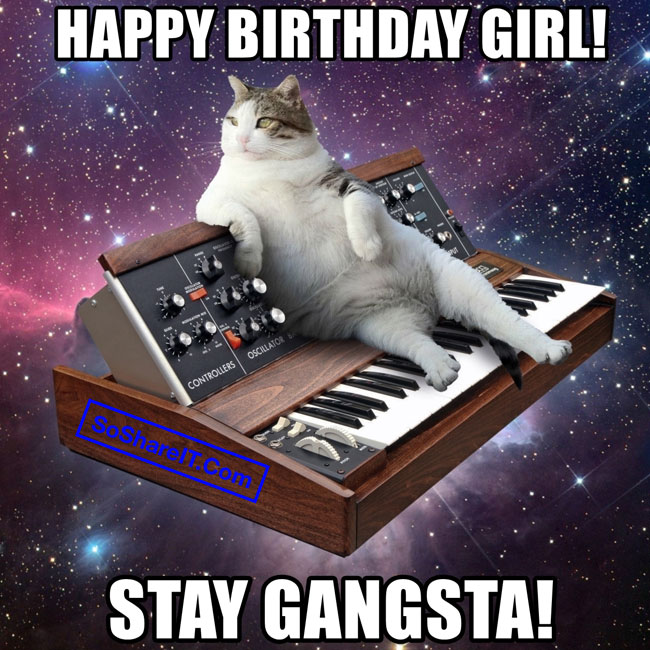 Happy Birthday Cat Meme 4