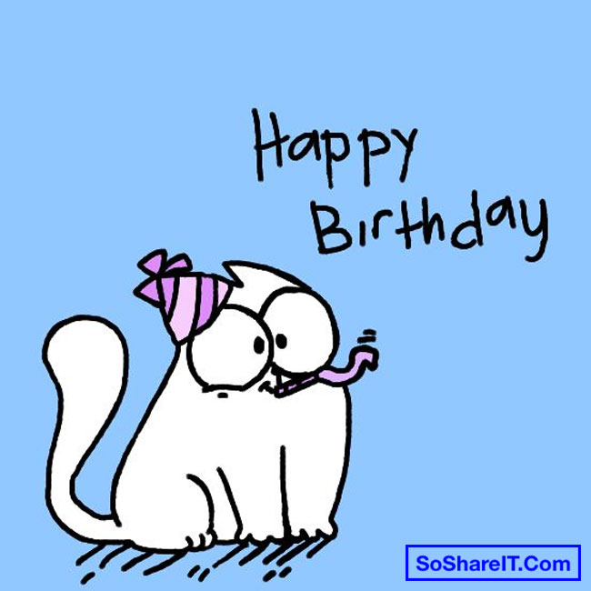 Happy birthday cat carton