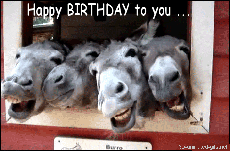 Happy Birthday Funny Images , Quotes , gifs and Wallpapers – SoShareIT