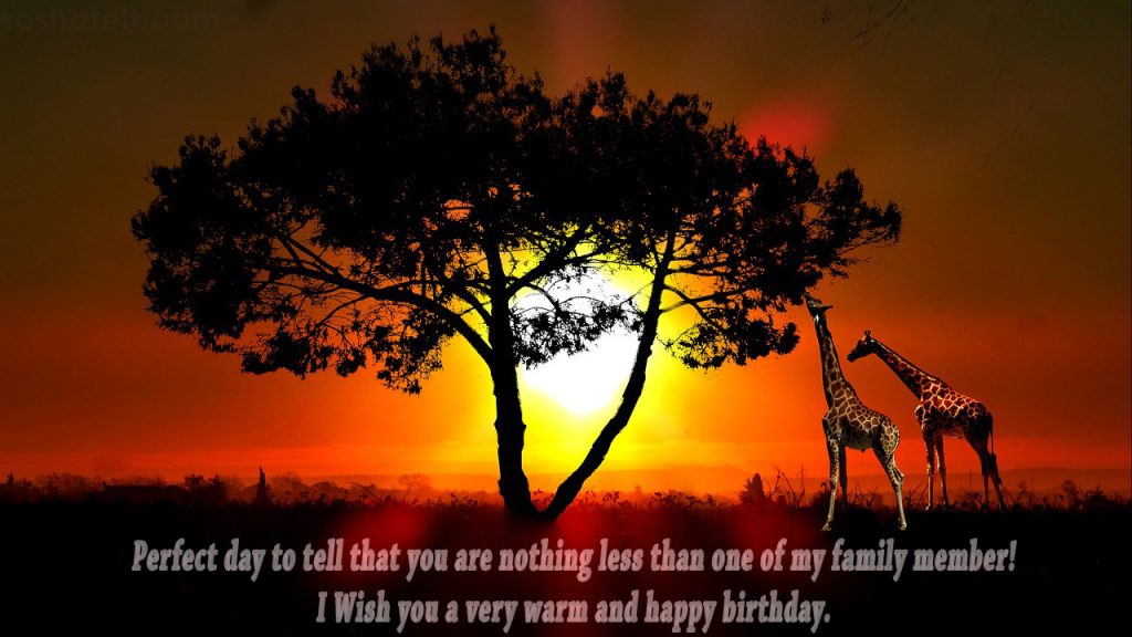 I Wish you a very warm and happy birthday