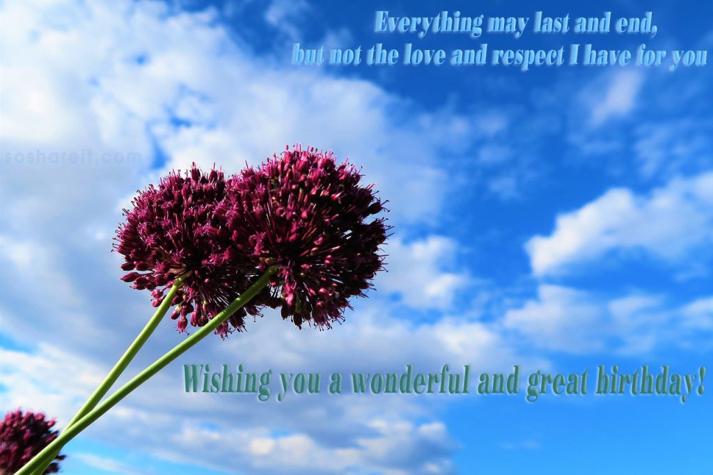 Wishing you a wonderful and great birthday